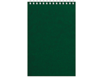 Бизнес - блокнот Альт А5 (127 х 198 мм) Office 60 л., зеленый