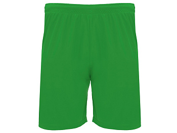 Шорты Dortmund, папоротниковый