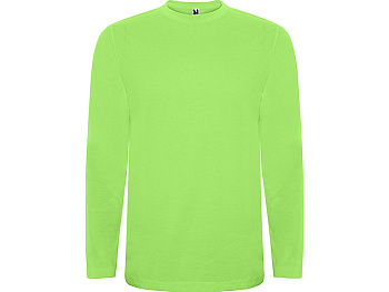 Футболка с длинным рукавом Extreme детская, зеленое яблоко