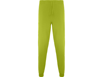 Брюки Fiber, фисташковый