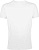 Футболка мужская Regent Fit 150, белая