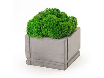 Кашпо бетонное со мхом (квадрат-маренго мох зеленый), QRONA