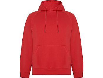 Толстовка с капюшоном Vinson, красный