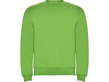 Свитшот с начесом Clasica детский, зеленое яблоко