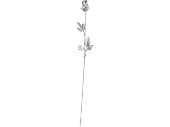 Роза с серебряным бутоном