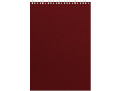 Бизнес - блокнот Альт А4 (198 х 285 мм) Office 60 л., бордовый